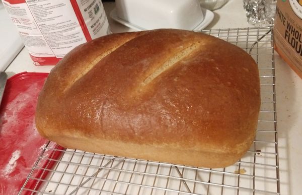 Half-Whole Wheat Sandwich Bread